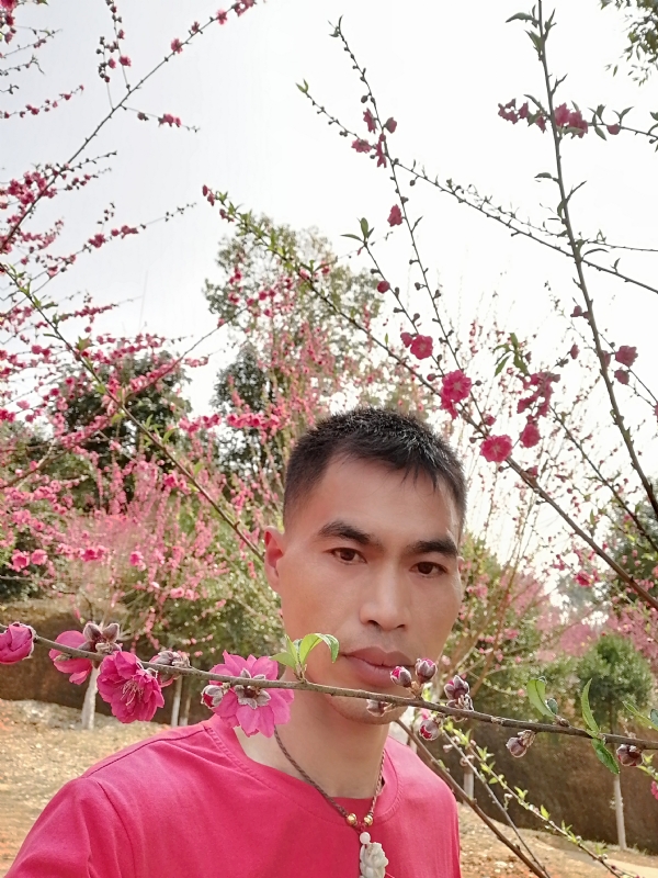 惜緣的第一张照片--江西闪婚服务中心